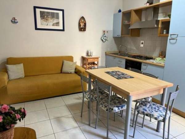Foto Appartamento in affitto a Lido di Camaiore - Camaiore 50 mq  Rif: 1040847