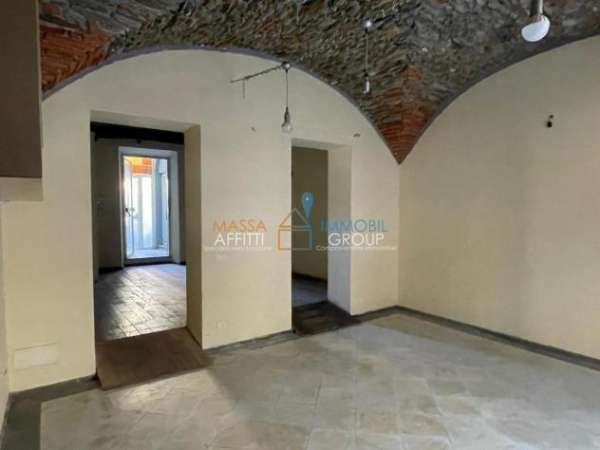 Foto 1 Vetrina in affitto a Massa