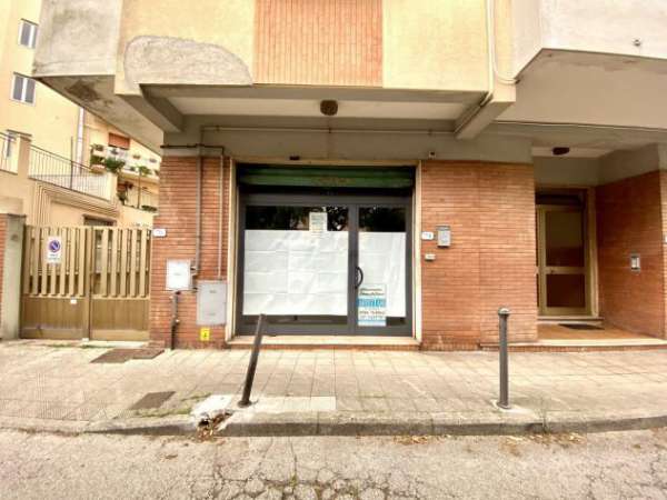 Foto 1 Vetrina in affitto a Rosignano Marittimo