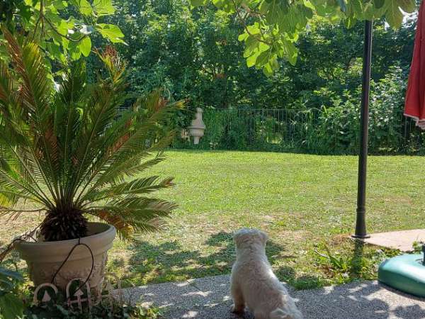 Foto A BOLOGNA SPLENDIDA CAMERA AFFACCIATA SU PARCO VERDE