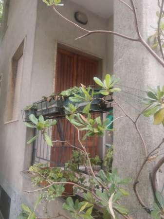 Foto a SORAGNA ( PR) affitto temporaneo