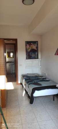 Foto Affittasi   camera  210 euro mensili