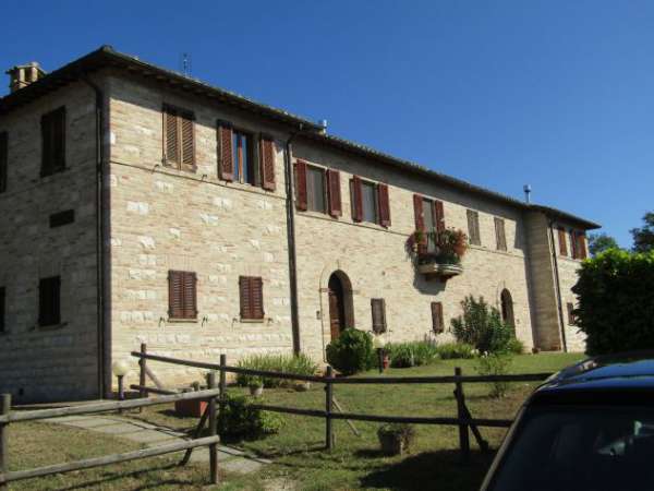 Foto affittasi appartamento a Urbino