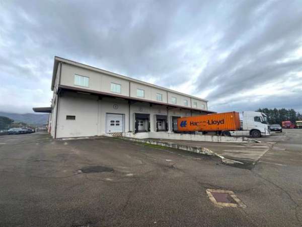 Foto Affittasi area industriale di circa 8.000 mq - Rif. T96