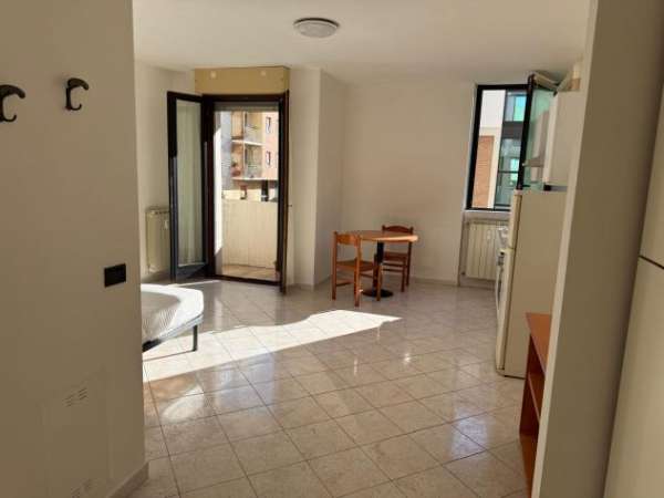 Foto Affittasi monolocale arredato con box.