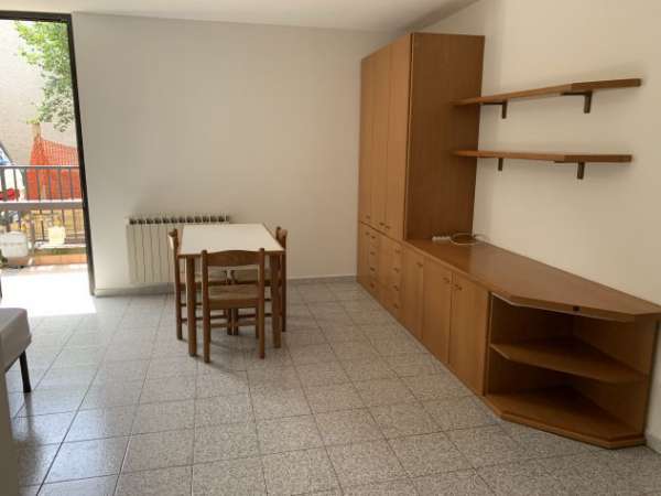 Foto Affittasi monolocale arredato con cucina separata.