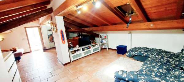 Foto affittasi stanza singola con GRANDE TERRAZZO