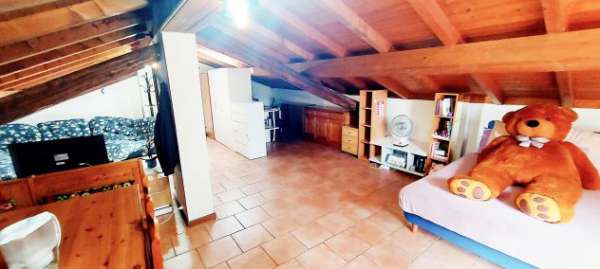 Foto AFFITTASI STANZA SINGOLA CON GRANDE TERRAZZO