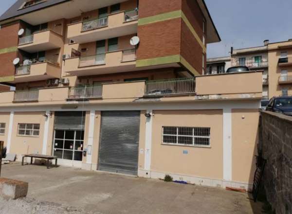 Foto Affitto ampio magazzino a viale fiume Viterbo di 450 mq con piazzale 900mensili