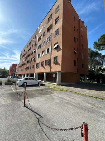Foto Affitto appartamento Via Giuseppe Imer 9 Roma (RM)