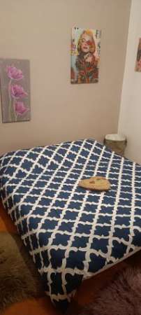 Foto Affitto Camera Con Bagno e wifi Eur Mostacciano