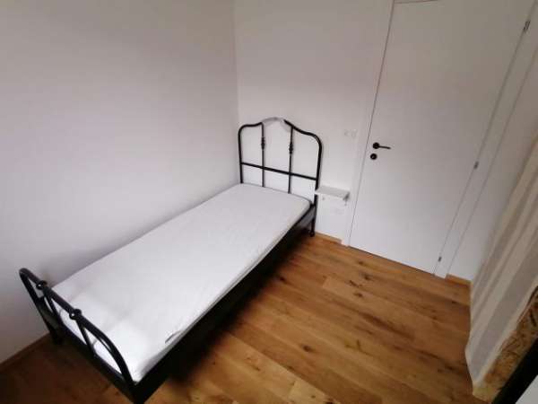 Foto Affitto camera singola