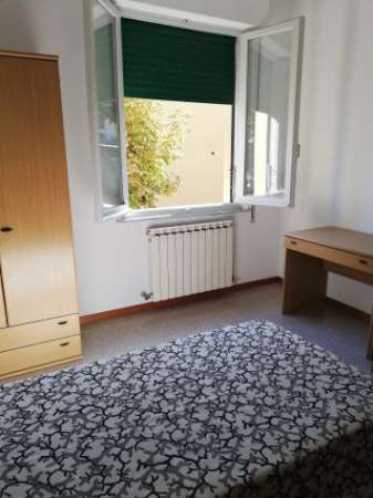 Foto Affitto camera singola a studentessa