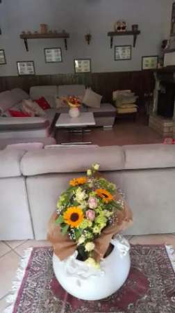 Foto affitto camere