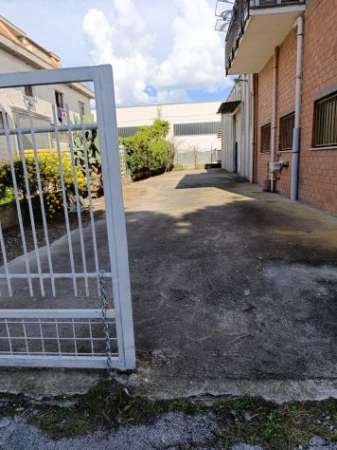 Foto Affitto capannone