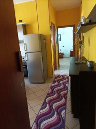 Foto Affitto in zona San Donato un trilocale bene arredato con due camere da letto qu
