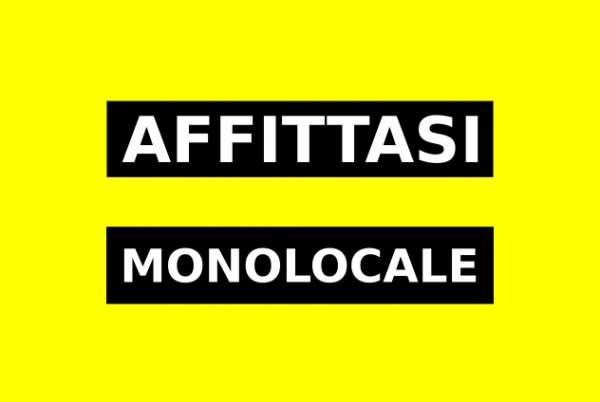 Foto Affitto MONOLOCALE ristrutturato e arredato a 800m dal POLITECNICO DI TORINO