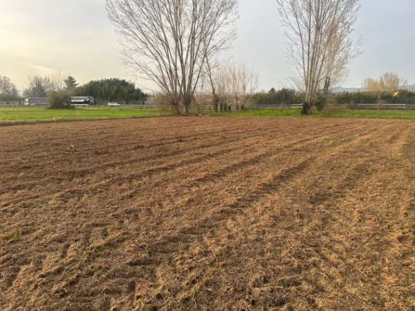 Foto Affitto terreno agricolo 2800mq con pozzo  Lucca