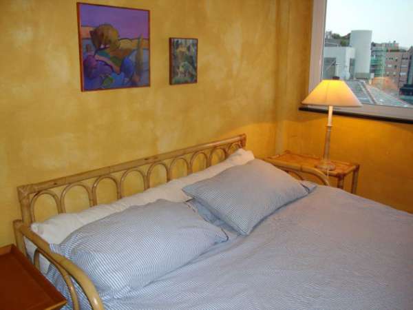 Foto Affitto una stanza perfettamente arredata luminosa e con vista.