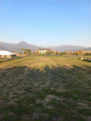 Foto Agricolo a pietrasanta, Pietrasanta