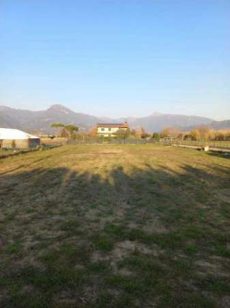 Foto Agricolo in affitto a Pietrasanta