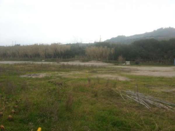 Foto Agricolo in Via San Marco