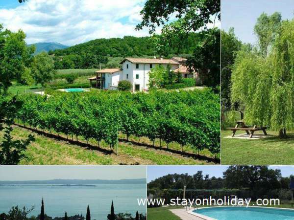 Foto Agriturismo in Affitto a Bardolino Via Galeazzo, 1
