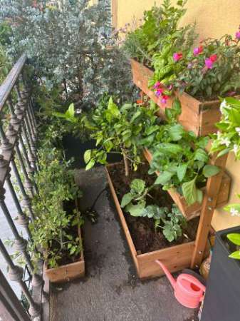 Foto Alloggio in cambio di servizi domestici