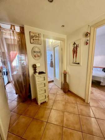 Foto AmpioMonolocale arredato, zona Ripamonti