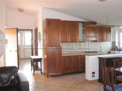 Foto Appartamento - 5 locali a Monte Porzio Catone