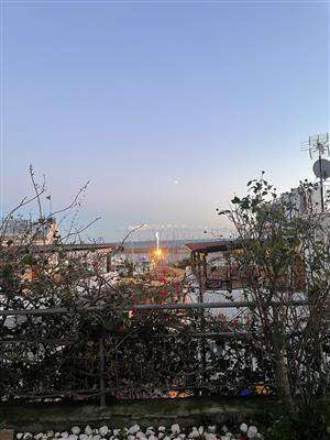 Foto Appartamento - Al piano terra a San Felice Circeo