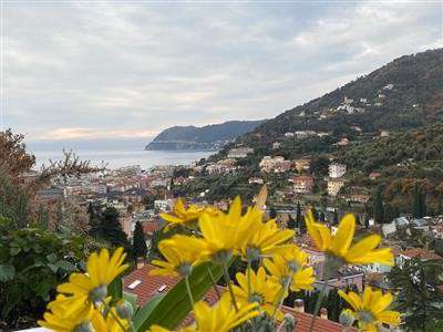 Foto Appartamento - Bilocale a Alassio