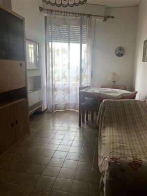 Foto Appartamento - Bilocale a Viareggio Mare, Viareggio