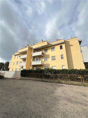 Foto Appartamento - Trilocale a Nettuno