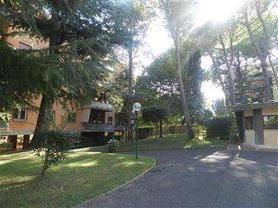 Foto Appartamento - Trilocale a Nuovo Salario, Roma