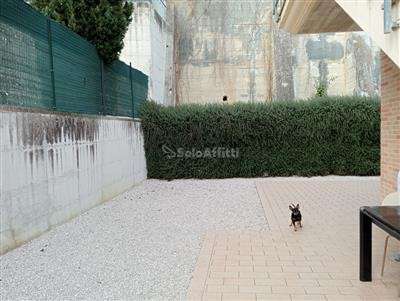 Foto Appartamento - Trilocale a Polverigi