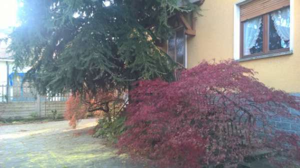 Foto Appartamento 4 locali arredato