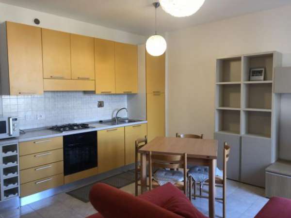 Foto Appartamento arredato composto da ampio soggiorno con angolo cottura, disimpegno-studiolo, camera, bagno, ripostiglio e terrazzo, il tutto in ottime c