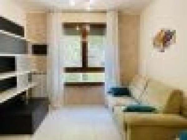 Foto Appartamento di 45 m con 1 locale in affitto a San Donato Milanese