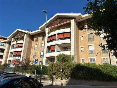 Foto Appartamento in Affitto, 1 Locale, 35 mq (Roma)