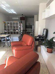 Foto Appartamento in Affitto, 1 Locale, 45 mq (Mercogliano)