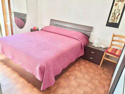 Foto Appartamento in Affitto, 2 Locali, 40 mq (Pisa)