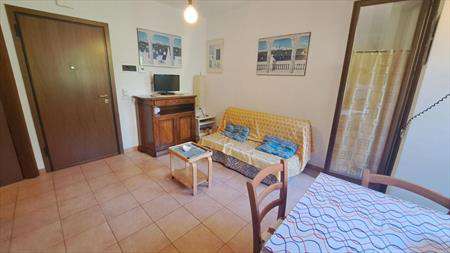 Foto Appartamento in Affitto, 2 Locali, 40 mq (Rosignano Marittimo)