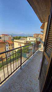 Foto Appartamento in Affitto, 2 Locali, 50 mq (Frosinone)