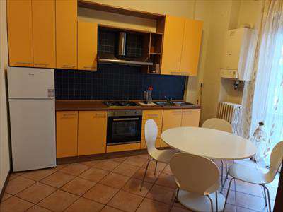 Foto APPARTAMENTO in Affitto, 2 Locali, 50 mq, STRADELLA