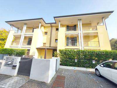 Foto Appartamento in Affitto, 2 Locali, 50 mq (Treviso)