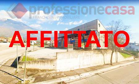Foto Appartamento in Affitto, 2 Locali, 60 mq (Piedimonte San Germano