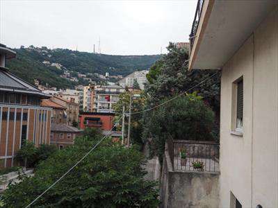 Foto APPARTAMENTO in Affitto, 2 Locali, 60 mq, TRIESTE