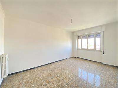 Foto Appartamento in Affitto, 2 Locali, 68 mq (Roma)