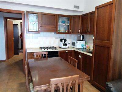 Foto Appartamento in Affitto, 2 Locali, 70 mq (Campobasso)